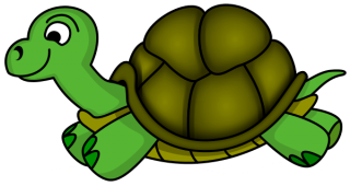 Hd Turtle Image In Our System PNG images