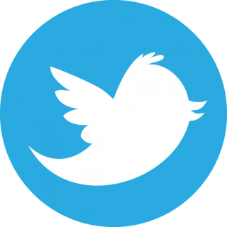 Twitter Logo Circle Png Download PNG images