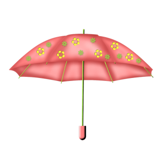 Pink Flower Umbrella Png PNG images
