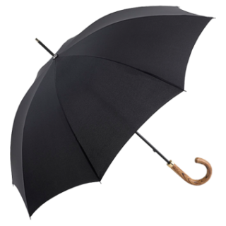 Umbrella Cartoon png download - 500*1311 - Free Transparent Jill