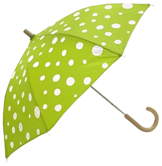 PNG Umbrella Photo PNG images