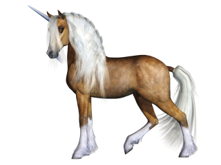 Brown Horse, Unicorn Clipart PNG images