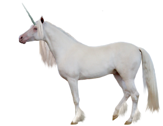 Elegant White Horses, Horned PNG images