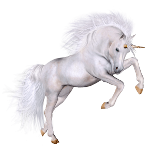 Unicorn Grace PNG PNG images