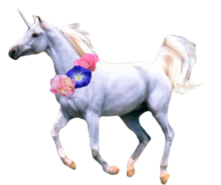 Unicorn Pic PNG PNG images