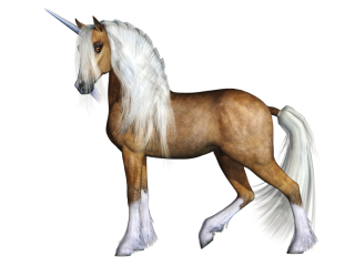 Unicorn PNG Transparent Image PNG images