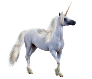 Download Download Free Unicorn Png Images Download Unicorn Png Freeiconspng PSD Mockup Templates