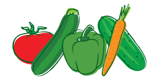 Png Vector Vegetable PNG images