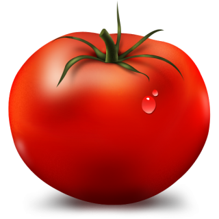 Vegetable Png Vector PNG images