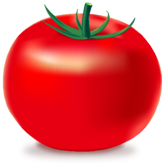 Vegetable Free Icon Png PNG images