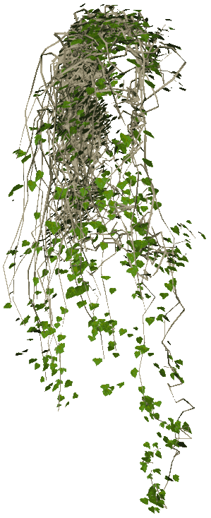 Ivy Vine Texture Png PNG images
