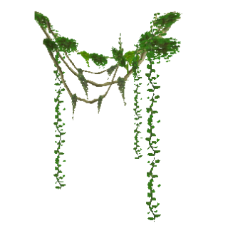 Vines Png PNG images