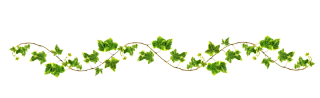 Wavy Vine Png PNG images