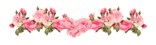 Vintage Pink Rose Border Png PNG images