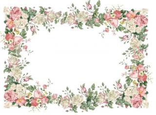 Vintage Flower Frame Png PNG images