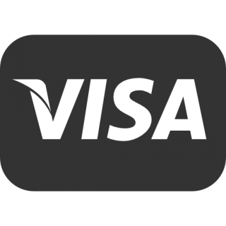 Visa Icon Size PNG images