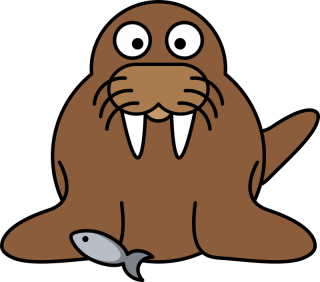Best Free Walrus Png Image PNG images