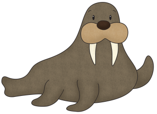 Best Walrus Png Clipart PNG images