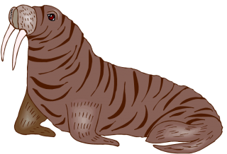 Patterned Walrus Images PNG images