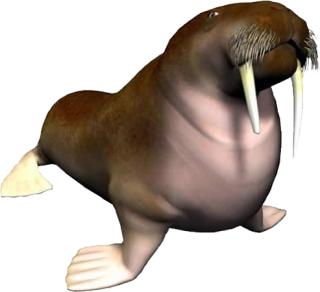 Walrus Cartoon Image PNG images