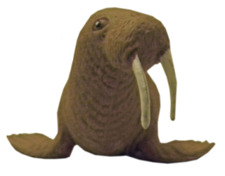 Walrus In Png PNG images