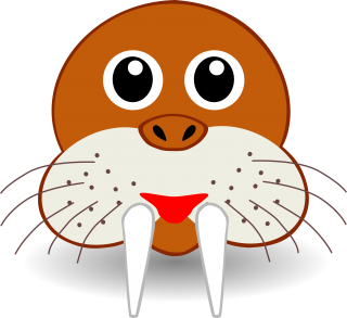 Walrus Transparent Background PNG images