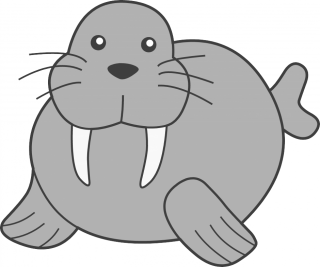 Walrus Vector Png PNG images
