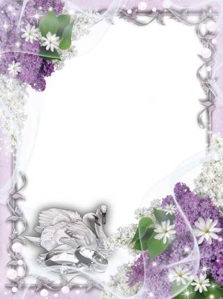 Download Png Wedding Frame Images Free PNG images