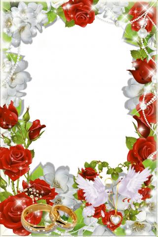 Vector Png Wedding Frame Free Download PNG images