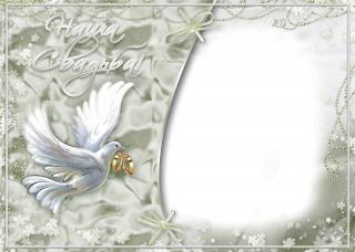 Transparent Background Wedding Frame Png PNG images