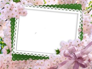 Png Wedding Frame Vector PNG images