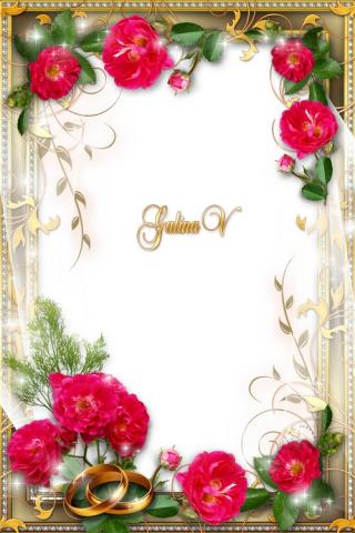 Background Png Wedding Frame Transparent PNG images