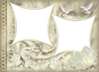 Wedding Transparent Photo Frame PNG images