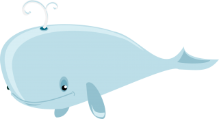Blue Whale Photo PNG images