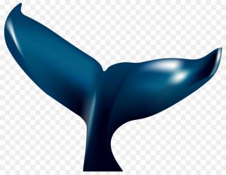 Whale Tail Transparent Image PNG images
