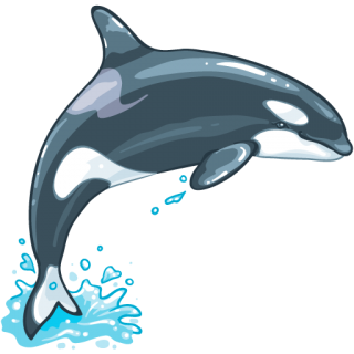Wild Sea Creature Whale Transparent Background PNG images