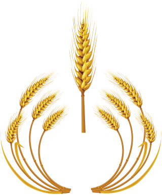 Wheat Logo Png PNG images