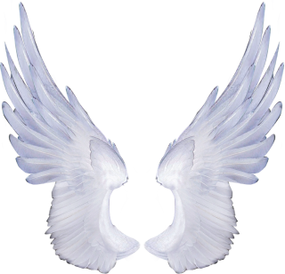 Png Clipart Download Wings PNG images