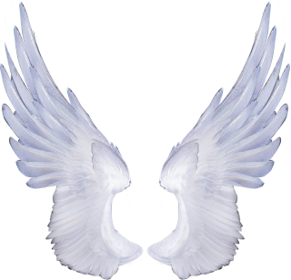 Wings PNG, Wings Transparent Background - FreeIconsPNG