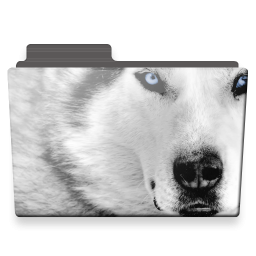 Wolf Folder Icon PNG images