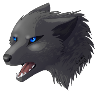 Animal, Wolf Icon PNG images