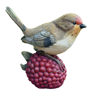 Raspberry And Wren Transparent Background PNG images