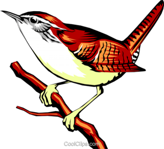 Red Wren Png Images PNG images