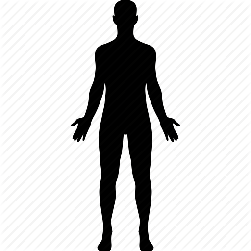Vector Human Icon Png Transparent Background Free Download 1887 Freeiconspng