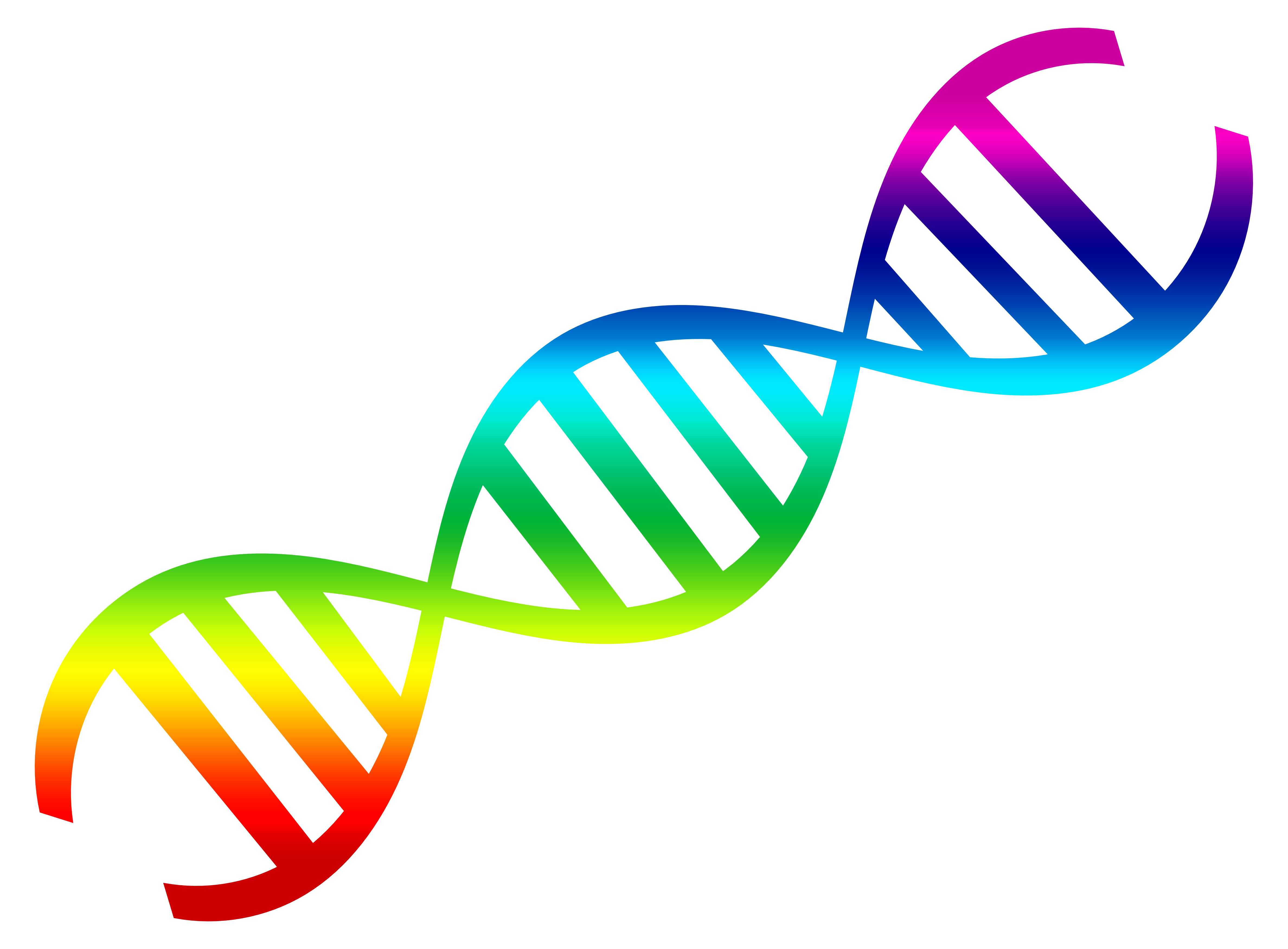 Dna Rna Strand Dna Png Dna Strand Png Free Transparent Png Images | The ...