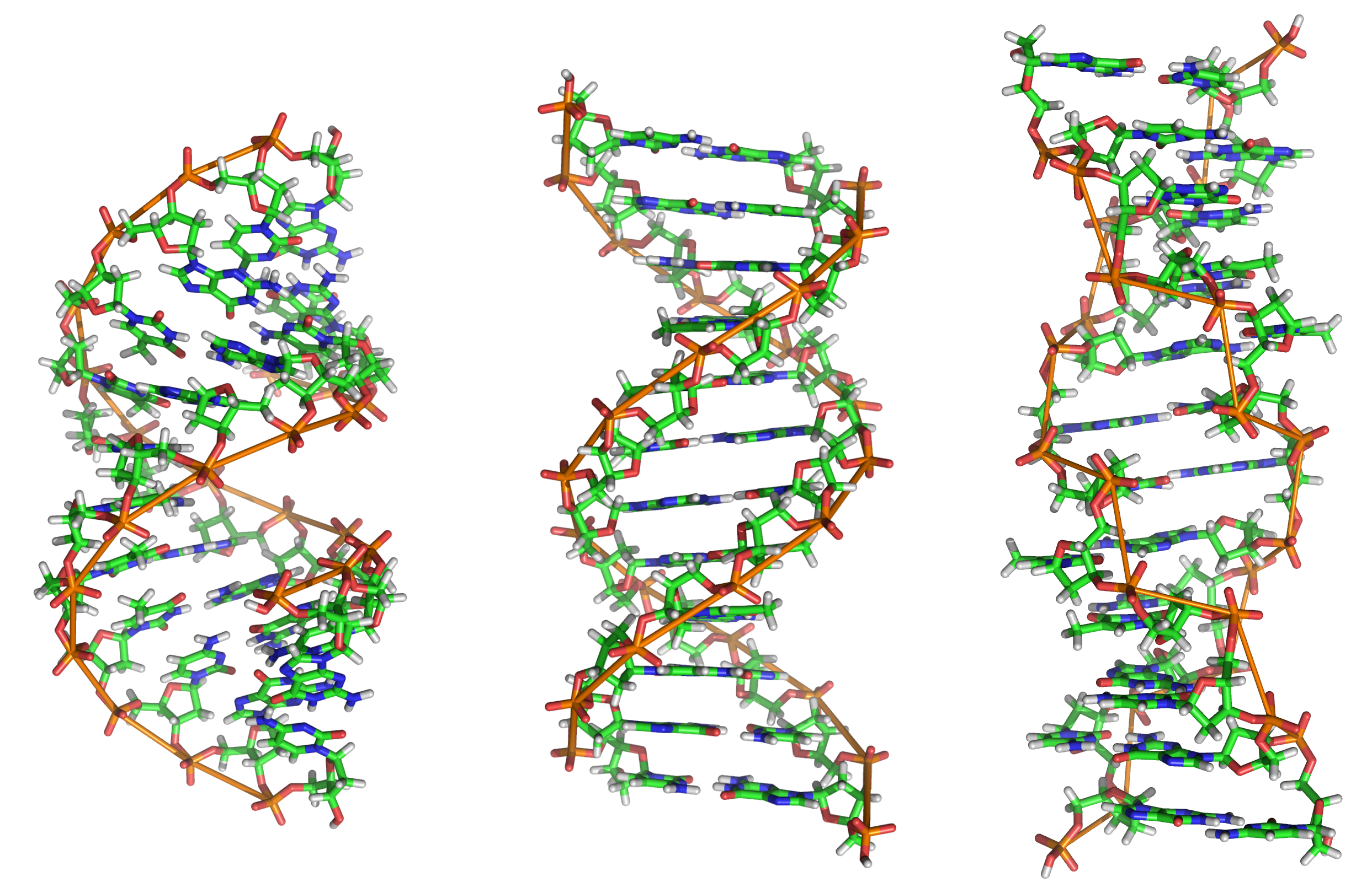 Dna Tree Png