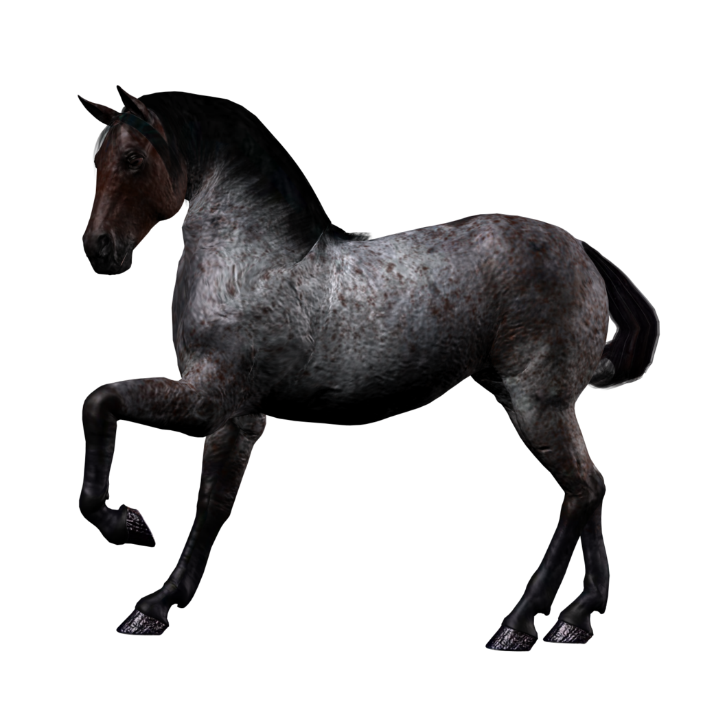 3d horse animal png