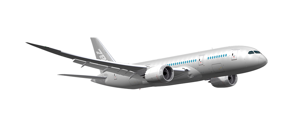 Airplane PNG, Airplane Transparent Background - FreeIconsPNG