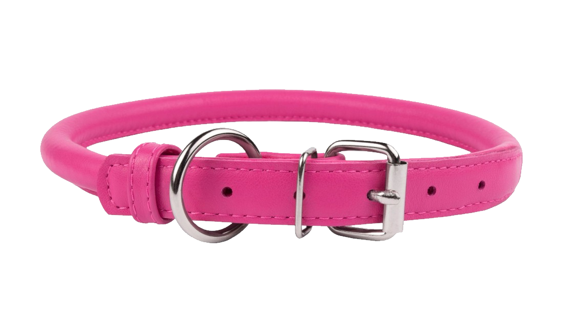 And Elegant Pink Dog Collar Images PNG Transparent Background, Free