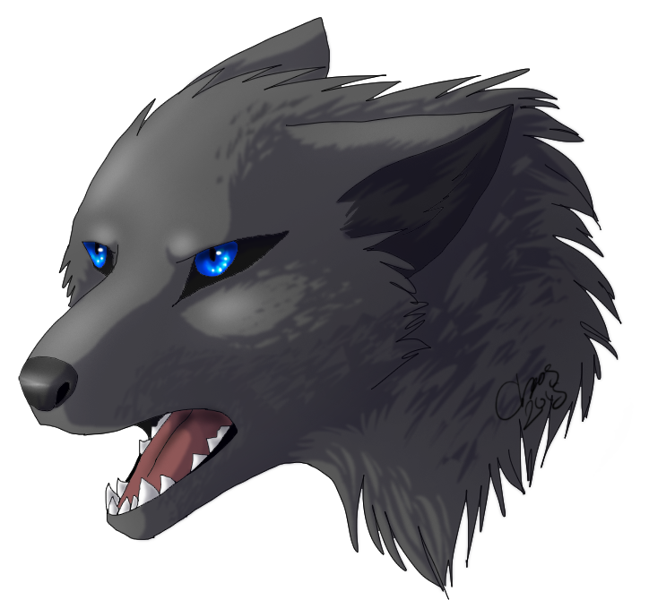 Gray Wolf PNG Transparent Images Free Download